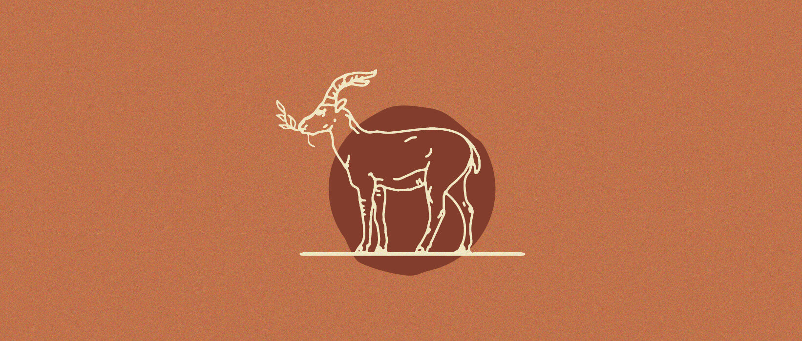 The Pyrenean Ibex: Making History – Nocs Provisions Japan