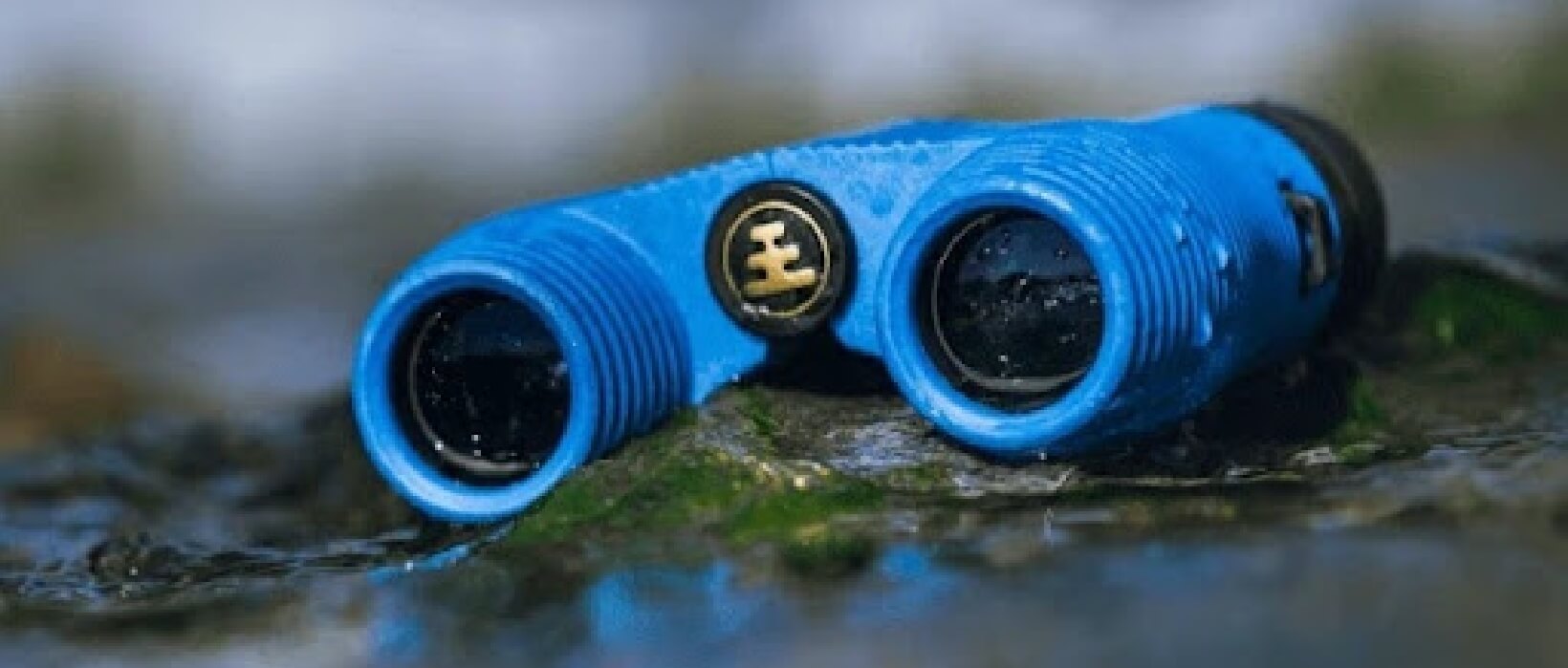 Nocs cobalt blue compact waterproof and fogproof binoculars in water