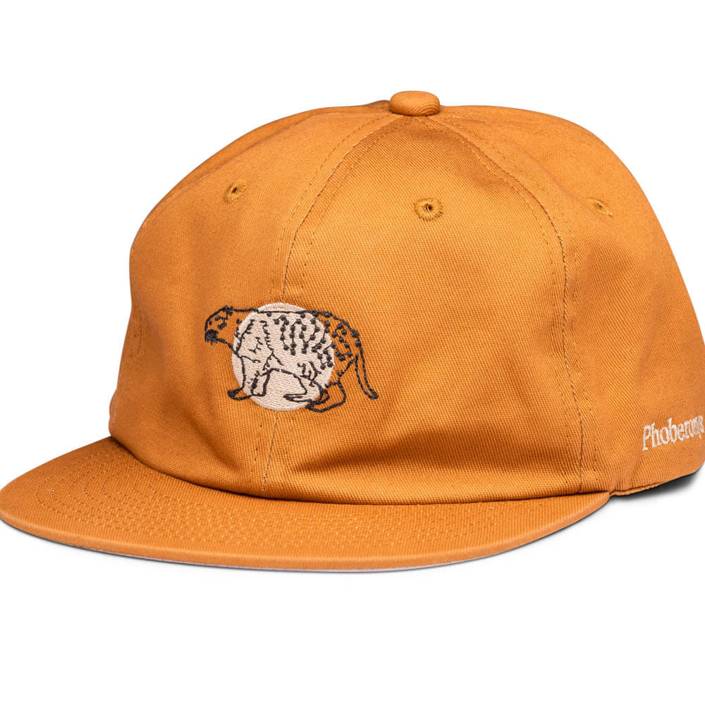 Featured product image for Phoberomys