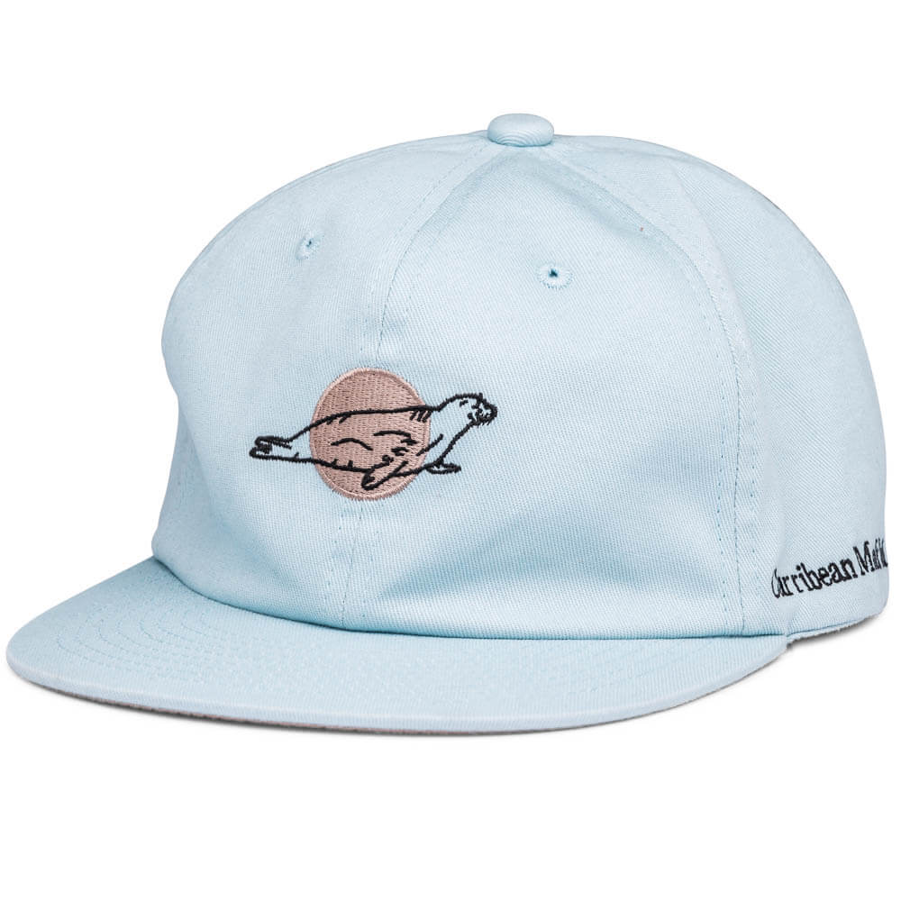 Featured product image for Carribean Monk Seal